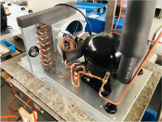 Sk81b立方体の製氷機の落下防止の自動クリーニング式シーフードのビュッフェ